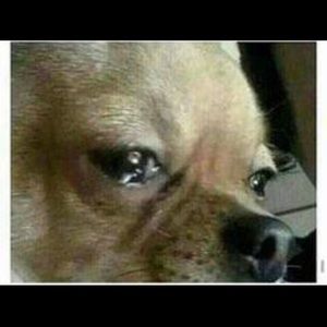 Meet your Posher, Miguel